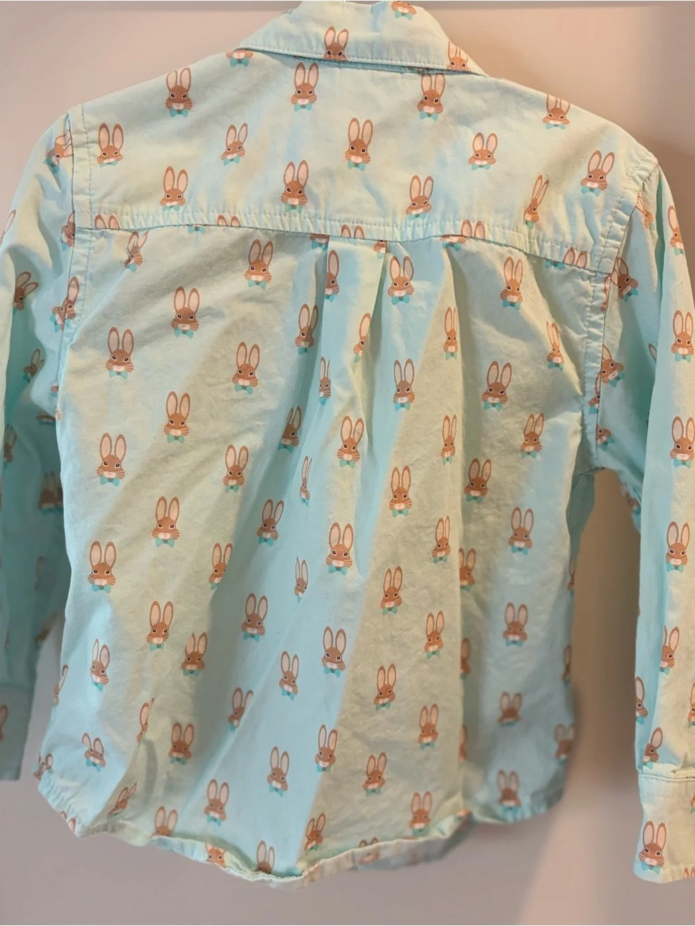 Gymboree Mint Green Bunny Print Button-Up Shirt and Chino Pants